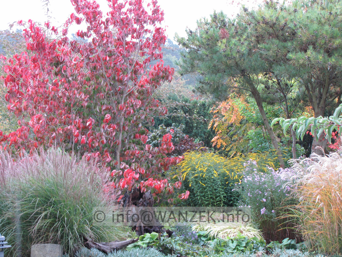 Stimmung Herbst 01.JPG